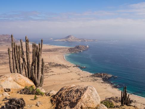 A Découvrir au Chili - Désert de l'Atacama