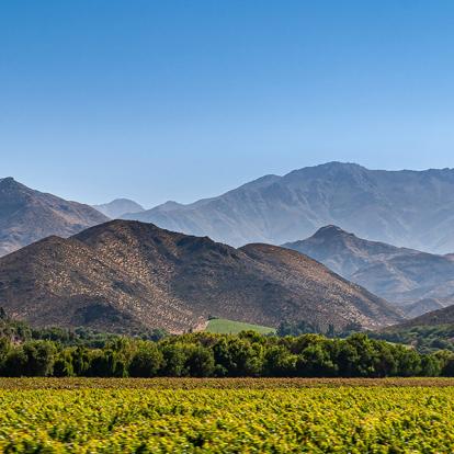 A Découvrir au Chili - La Serena