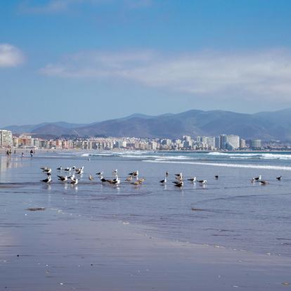 A Découvrir au Chili - La Serena