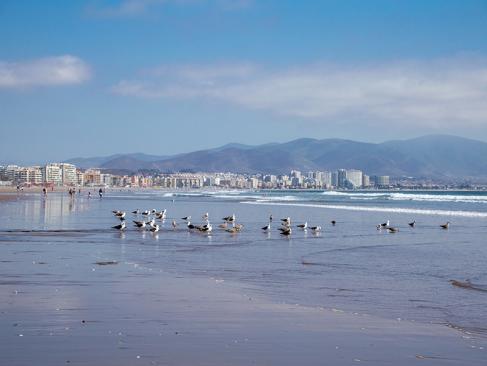A Découvrir au Chili - La Serena