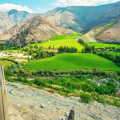 A Découvrir au Chili - La Serena