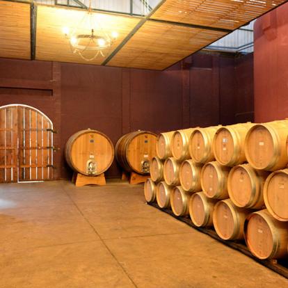 A Découvrir au Chili - La Vallée de Colchagua