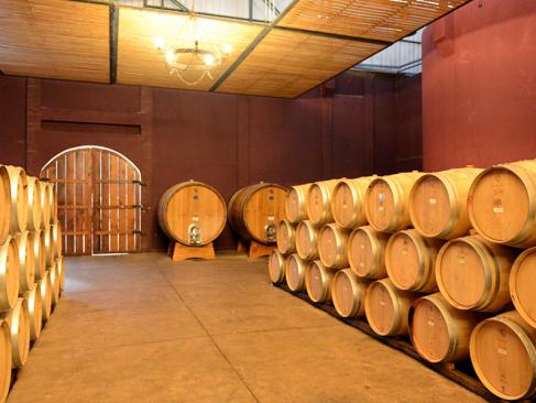 A Découvrir au Chili - La Vallée de Colchagua