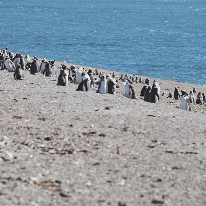 A Découvrir au Chili - Le Détroit De Magellan