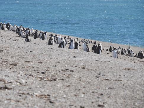 A Découvrir au Chili - Le Détroit De Magellan