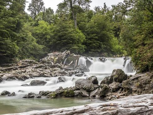 A Découvrir au Chili - Le Parc National Puyehue