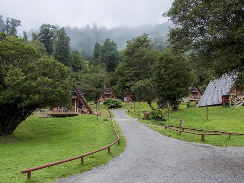A Découvrir au Chili - Le Parc National Puyehue