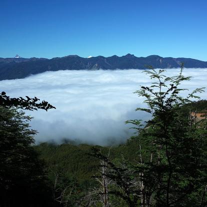 A Découvrir au Chili - Le Parc National Puyehue