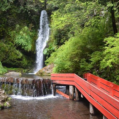 A Découvrir au Chili - Pucón