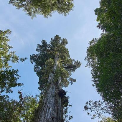 A Découvrir au Chili - Puerto Montt