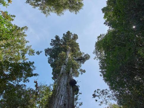 A Découvrir au Chili - Puerto Montt