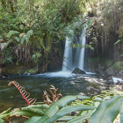 A Découvrir au Chili - Puerto Montt