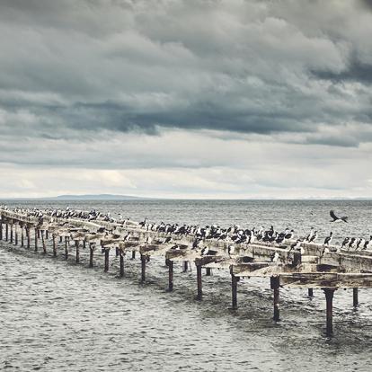 Punta Arenas A Découvrir au Chili - Punta Arenas et Puerto Williams