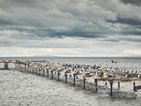 Punta Arenas A Découvrir au Chili - Punta Arenas et Puerto Williams