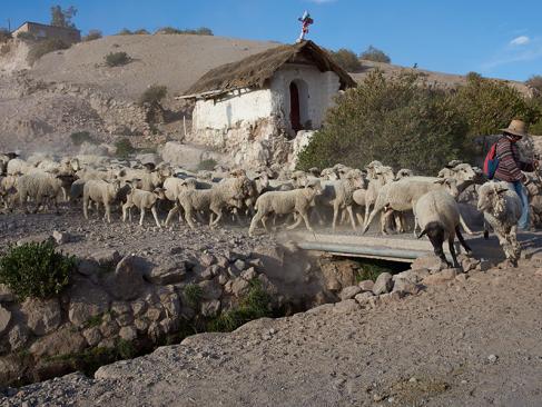 A Découvrir au Chili - Putre