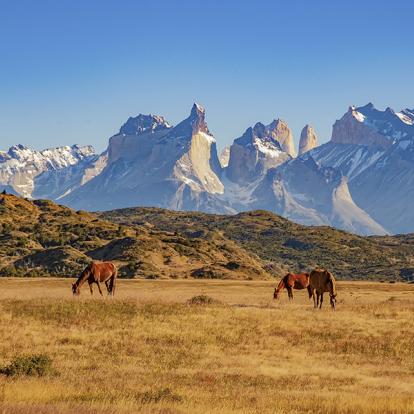A Découvrir au Chili - Parc National de Torres Del Plaine