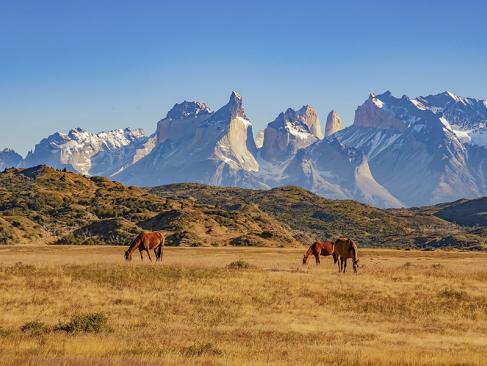 A Découvrir au Chili - Parc National de Torres Del Plaine