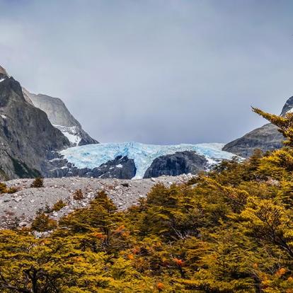 A Découvrir au Chili - Parc National de Torres Del Plaine