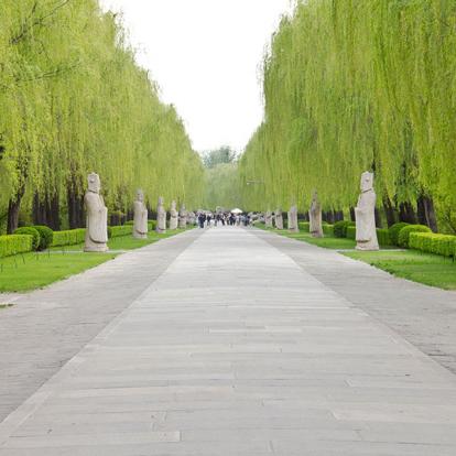 A Découvrir en Chine - Pékin (Beijing)