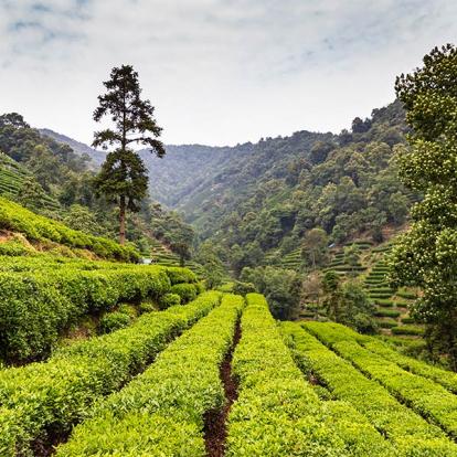 A Découvrir en Chine - Hangzou