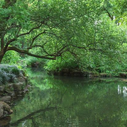A Découvrir en Chine - Hangzou