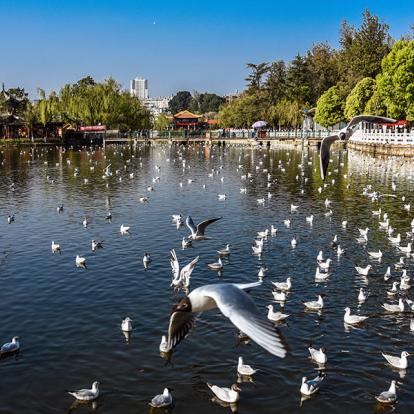 A Découvrir en Chine - Kunming