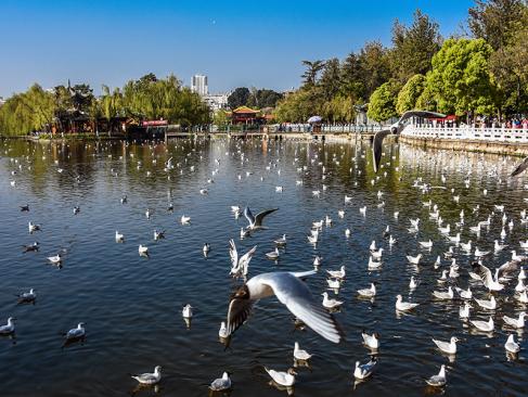 A Découvrir en Chine - Kunming