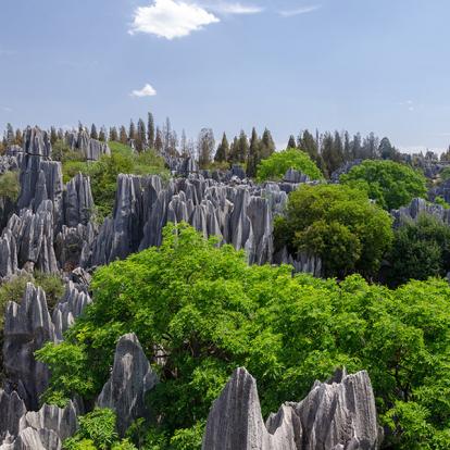 A Découvrir en Chine - Kunming