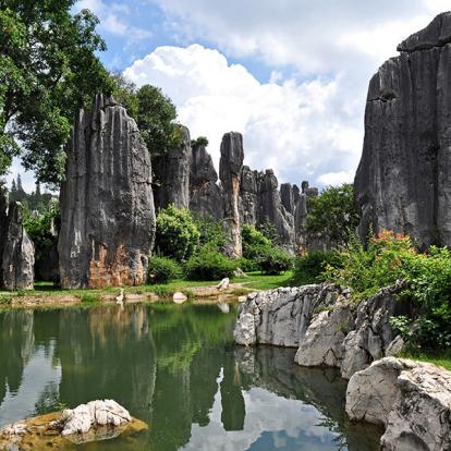 A Découvrir en Chine - La Forêt de Pierre de Shilin