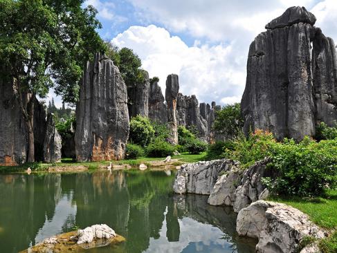 A Découvrir en Chine - La Forêt de Pierre de Shilin