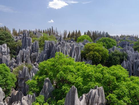 A Découvrir en Chine - La Forêt de Pierre de Shilin