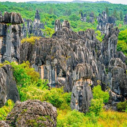 A Découvrir en Chine - La Forêt de Pierre de Shilin
