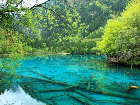 Jiuzhaigou National Park A Découvrir en Chine - La Vallée de Jiuzhaigou