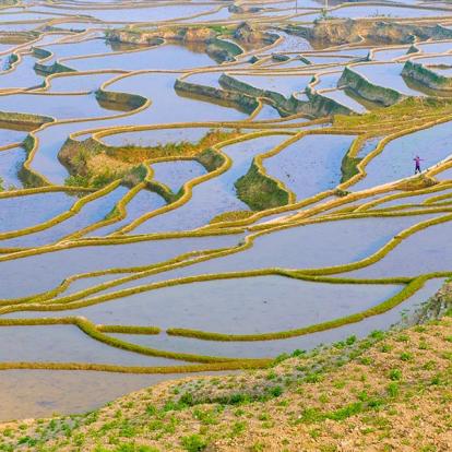 A Découvrir en Chine - Les Rizières de Yuanyang