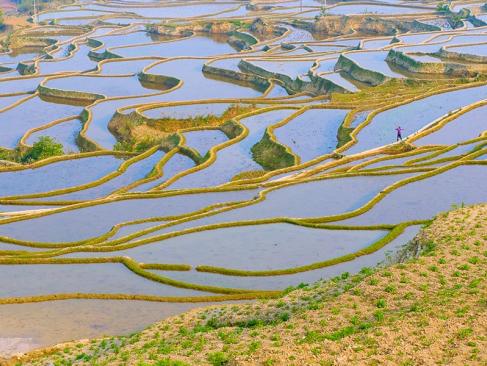 A Découvrir en Chine - Les Rizières de Yuanyang