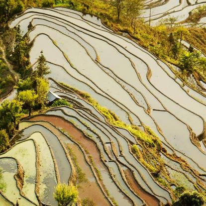 A Découvrir en Chine - Les Rizières de Yuanyang