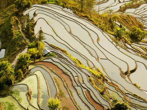 A Découvrir en Chine - Les Rizières de Yuanyang