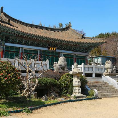 A Découvrir en Corée du Sud - Busan