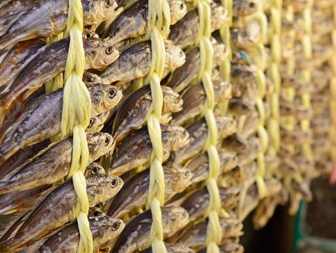 A Découvrir en Corée du Sud - Le Marché de Gwangjang à Séoul