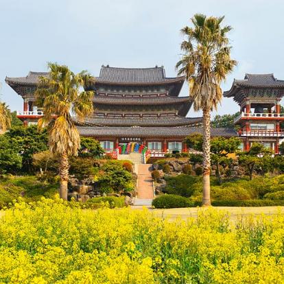 Île De Jeju - Temple Bouddhiste Yakcheonsa A Découvrir en Corée du Sud - Jeju-do