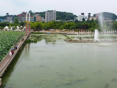 Jeonju - Deokjin Pond A Découvrir en Corée du Sud - Jeonju