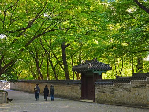 A Découvrir en Corée du Sud - Le Palais de Changdeokgung