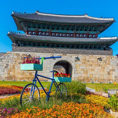 A Découvrir en Corée du Sud - Suwon