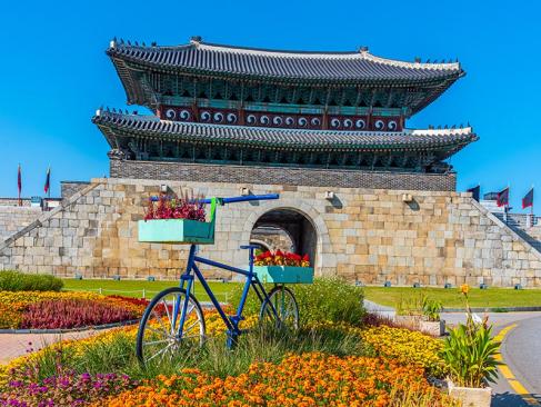 A Découvrir en Corée du Sud - Suwon