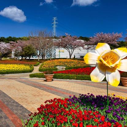A Découvrir en Corée du Sud -  Ulsan