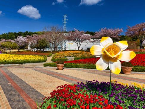 A Découvrir en Corée du Sud -  Ulsan