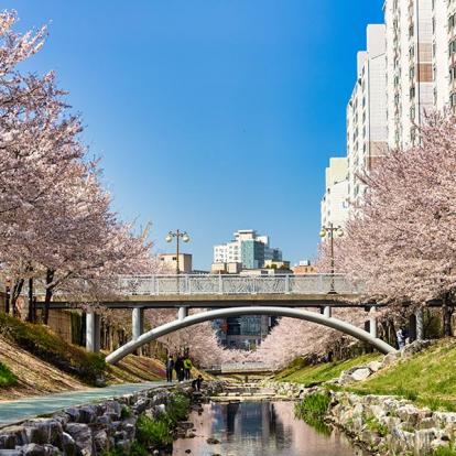 A Découvrir en Corée du Sud -  Ulsan