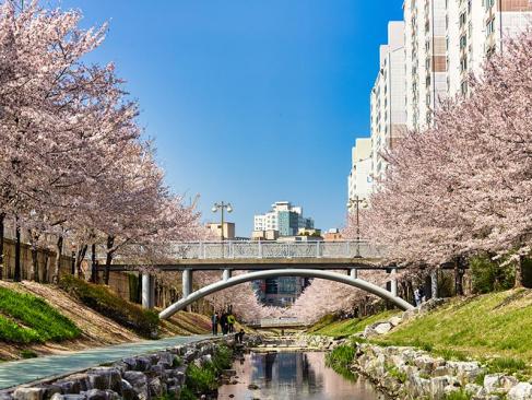 A Découvrir en Corée du Sud -  Ulsan