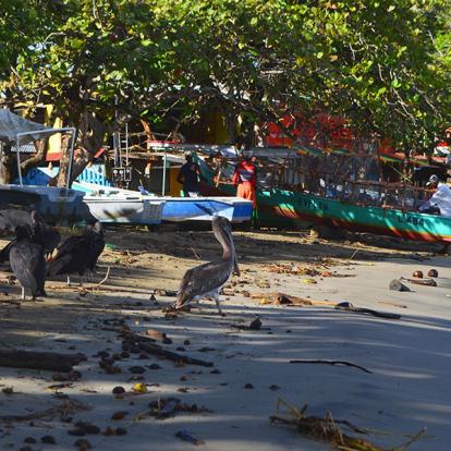 A Découvrir au Costa Rica - Cahuita & Puerto Viejo