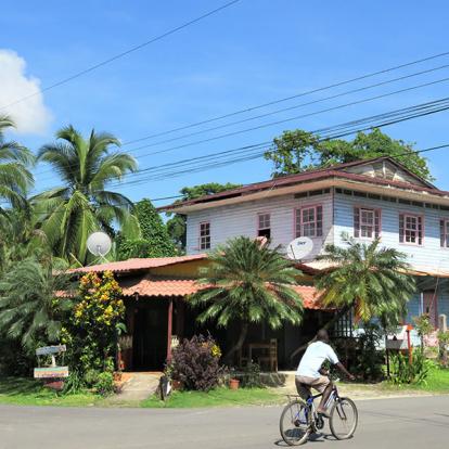 A Découvrir au Costa Rica - Cahuita & Puerto Viejo